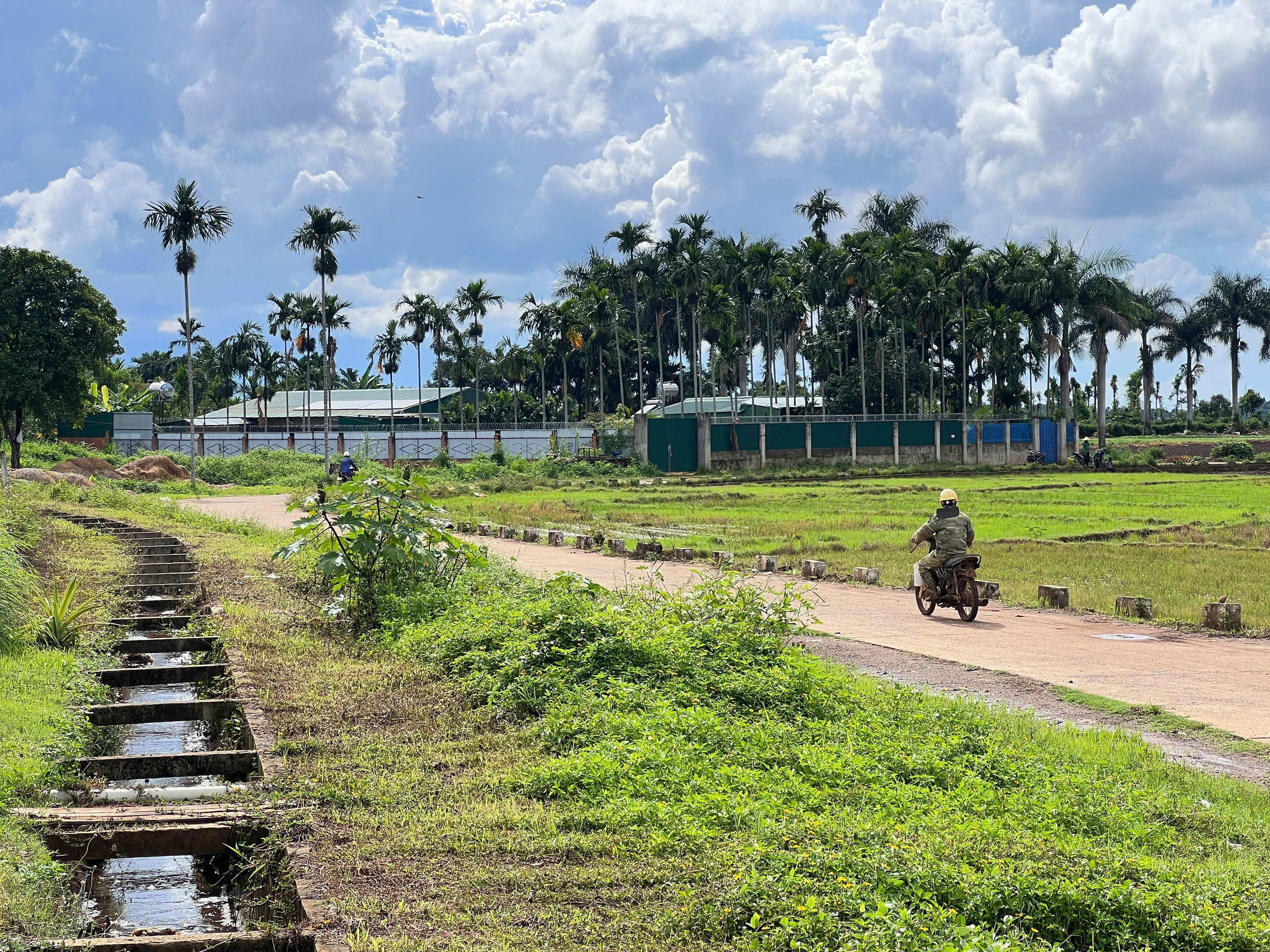 CHỦ ĐỘNG PHƯƠNG ÁN SẢN XUẤT TRỒNG TRỌT NHẰM ỨNG PHÓ VỚI HIỆN TƯỢNG EL NINO 2026