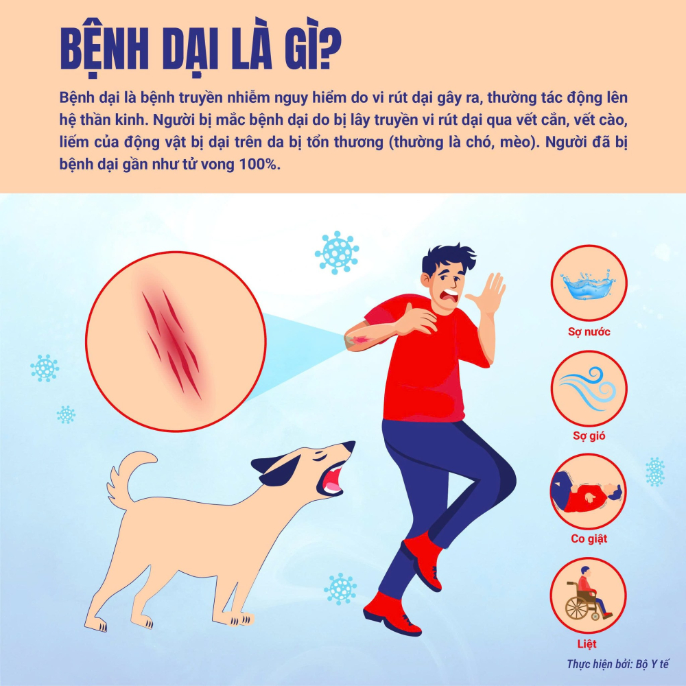 CHỦ ĐỘNG PHÒNG, CHỐNG BỆNH DẠI  BẢO VỆ SỨC KHỎE CỘNG ĐỒNG