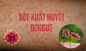 Bài tuyên truyền phòng chống bệnh sốt xuất huyết